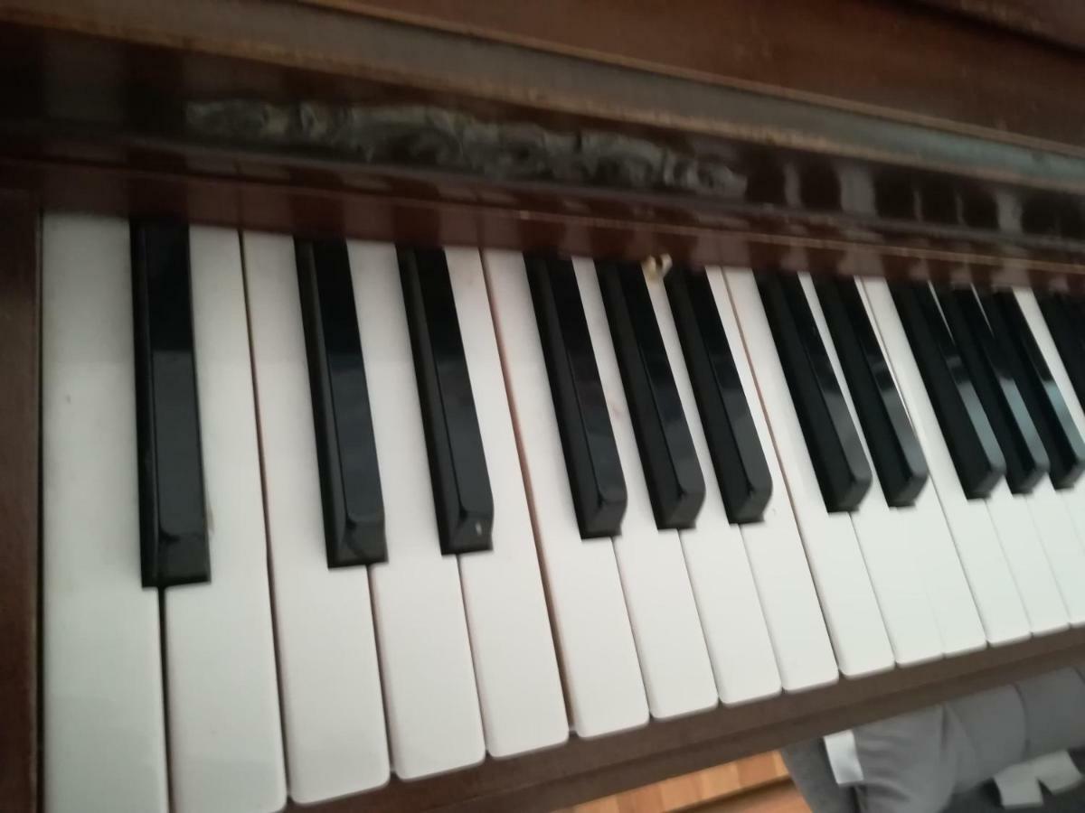 The Piano Apartment Zavalatica Exteriör bild